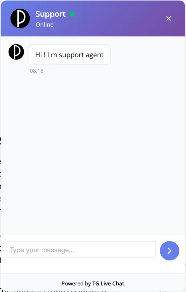 TG Live Chat Widget on Website